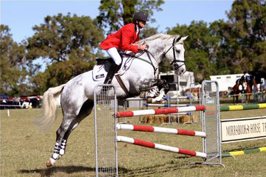 Horse jump