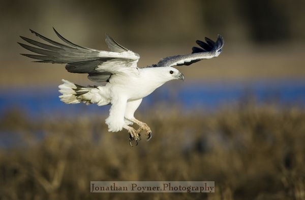 In-flight