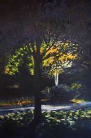 Hidden Light