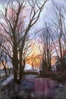 Run of trees leading to Wilsthorpe Road. Now gone.