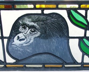 'Gorilla study'