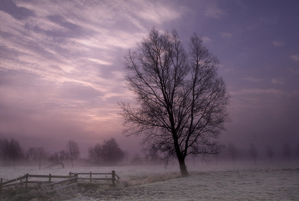 Freezing Fog
