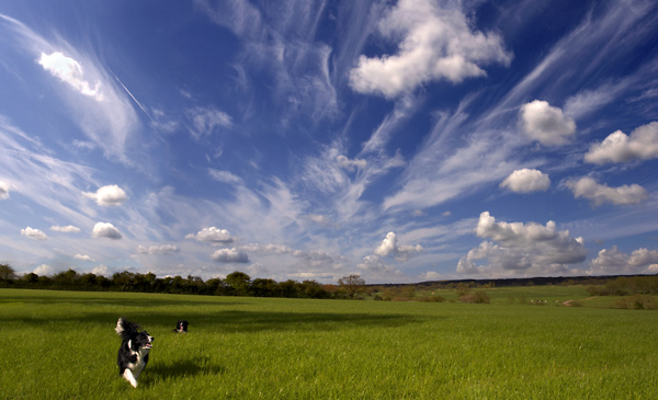 Big Sky