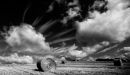 Straw Bales