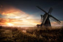 Mill in the Morning