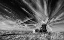 The Black Windmill