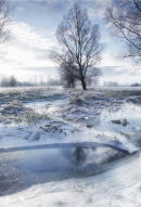 Frozen Over