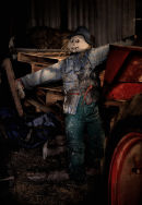  Scarecrow