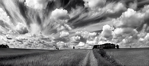 Cloudscape