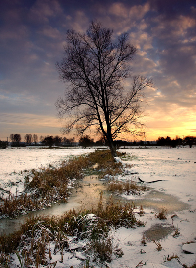 Cold