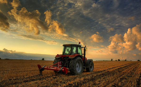 Autumn Cultivation