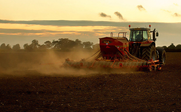 Sowing The Seed