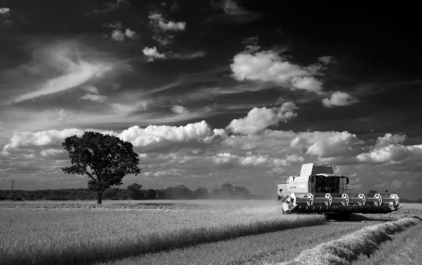Harvesting