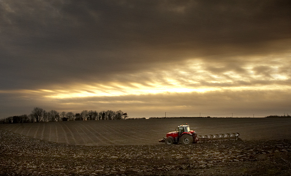 Ploughing in November