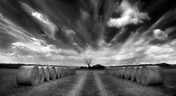 Parallel Lines