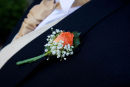 IMG 2174 JSH