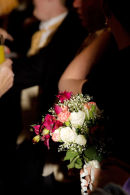 IMG 2340 JSH
