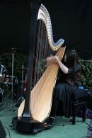 IMG 5287 Madhurst