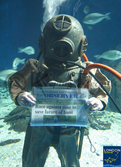 London Aquarium 