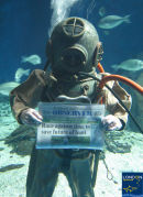London Aquarium 