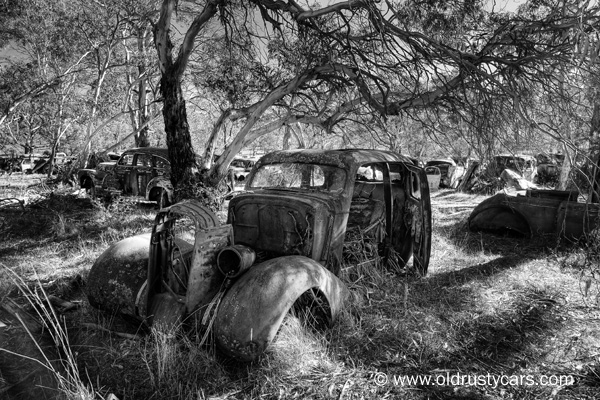 black and white cars 2 This old rusty car seeks some shade from the warm black and white cars 2 This old rusty car seeks some shade from the warm
