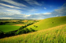 Above Bowerchalke