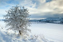 Knighton Hill snowfall