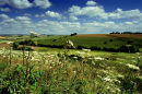 Knowle Hill in Summer
