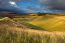 Middleton Hill Summer