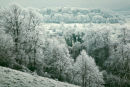 Hoar Frost Norrington