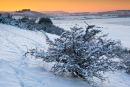 Winter Sundown Sutton Down