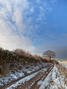 Winter on the Ox-Drove
