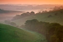 Dawn Ashmore Bottom