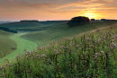 Dawn Middleton Hill