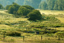 River Ebble Fifield Bavant
