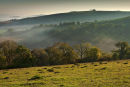 Autumn Lower Bridmore