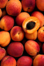 Apricots