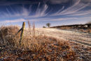 Frost on the Ox-Drove