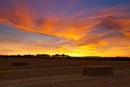 Harvest Sunset