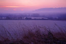 Winter Dawn