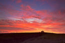 Sunset Win Green