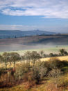 Win Green from Alvediston