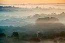 Bishopstone from Knighton Hill