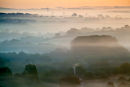 Bishopstone and Cathedral at Dawn