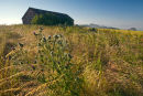 Downland Field Barn