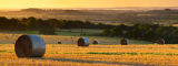 2012 Chalk and Chase Calendar now available