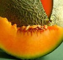 Canteloupe Melon