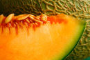 Canteloupe Slice