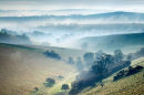 Chalke Valley Mist