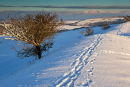 Winter Tracks Chiselbury Ring